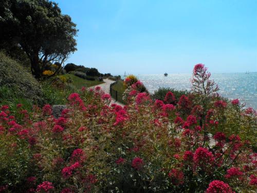 a path next to the water with pink flowers at Résidence New Rochelle in La Rochelle