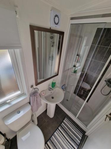 a bathroom with a toilet and a sink and a shower at The Forest Cabin Holiday Home 15 in Ballantrae