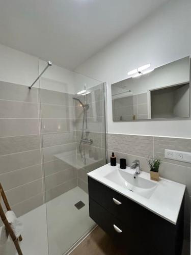 une salle de bain blanche avec un lavabo et une douche dans l'établissement Studio aux 2 terrasses, à Mirabel-et-Blacons