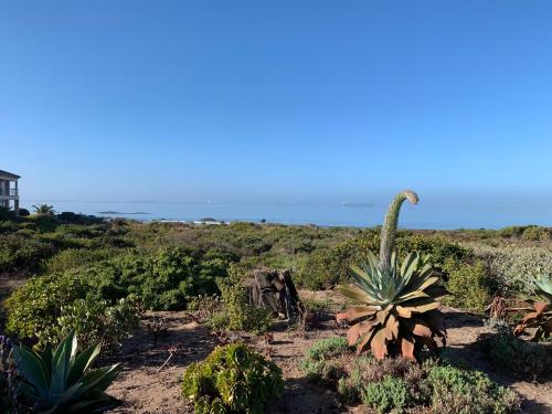 Imagen de la galería de EightPeter, en Saldanha