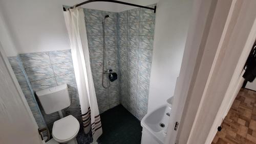 a small bathroom with a toilet and a shower at Vila Zenyt in Piatra Fantanele