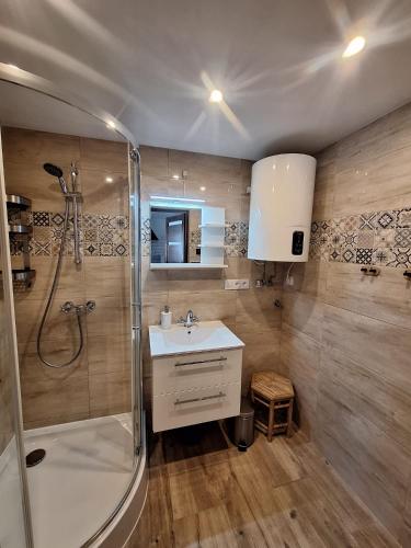 Bilik mandi di Apartament z tarasem nad strumykiem