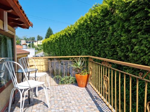 uma varanda com duas cadeiras e um vaso de plantas em Alpendre em Guimarães