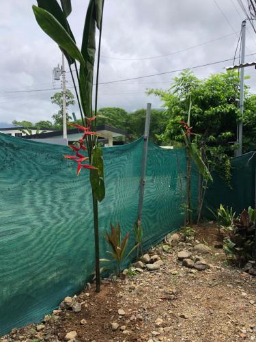 a fence with a plant with a red flower at Apartamentos Equipados DMR #3 in Uvita