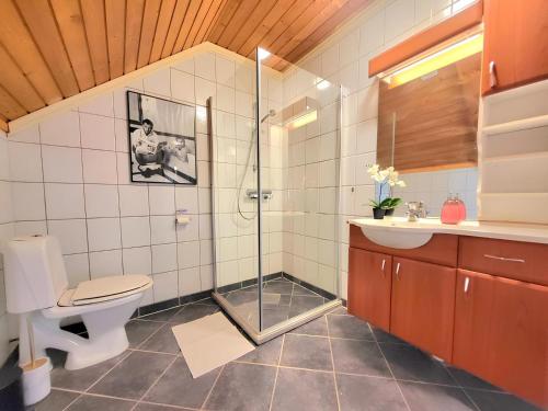 トロンハイムにあるSunset Penthouse, Fjord View & Parkingのバスルーム(シャワー、トイレ、シンク付)