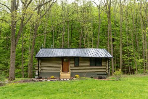 a small cabin in the middle of the woods at Peaceful Naples Cabin with Deck and Stream Views in Naples