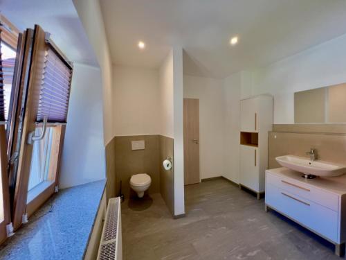 ein Badezimmer mit Waschbecken und Toilette in der Unterkunft Ferienwohnungen zur POST 2 in Breitenbrunn