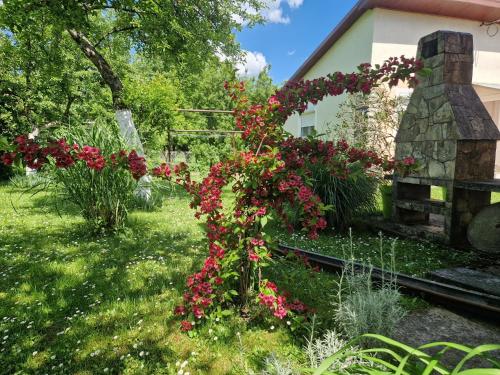 a plant with red flowers in a yard at Studio apartman Marica - Ogulin, Hrvatska in Ogulin