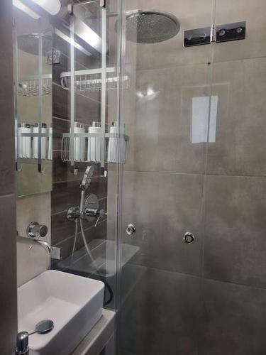 a bathroom with a shower and a sink at Bovis Apartments #2 in Porto Rafti