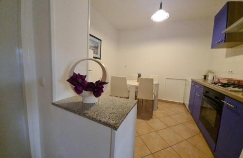 Η κουζίνα ή μικρή κουζίνα στο Apartmani B&S
