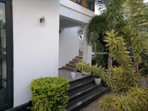 Κήπος έξω από το KG LODGE Calodye Mauritius