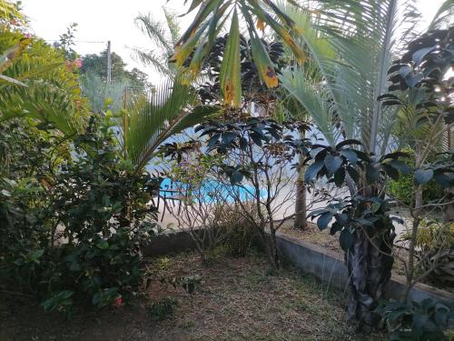 Κήπος έξω από το KG LODGE Calodye Mauritius