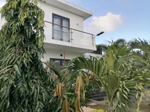 Κήπος έξω από το KG LODGE Calodye Mauritius