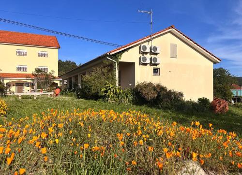 a field of flowers in front of a building at Pensão Repouso do Peregrino in Paredes de Coura