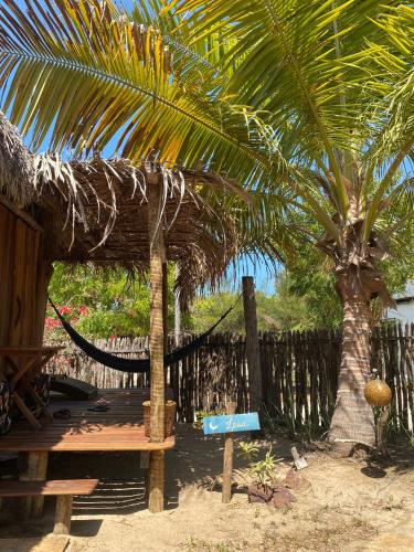 a hammock under a palm tree next to a fence at Caju Bangalôs in Ponta do Anel