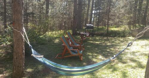 uma rede com duas cadeiras e um grelhador na floresta em Vila Tarska oblica em Bajina Bašta