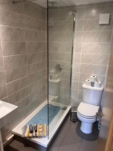 a bathroom with a shower with a toilet and a sink at Green Cottage in grounds of Grade II* Frognal Farmhouse in Sittingbourne