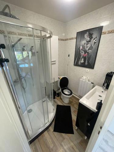 une salle de bain avec une douche, des toilettes et un lavabo dans l'établissement Résidence Belle Vue, à Boulogne-sur-Mer