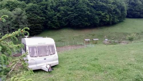 a white trailer parked in a field of grass at Casa Asined in Întorsura Buzăului
