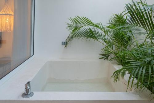 La salle de bains est pourvue d'un lavabo avec un robinet et une plante. dans l'établissement Studios in Tulum by Casago, à Tulum