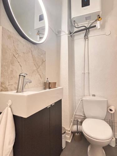 une salle de bain avec un lavabo, des toilettes et un miroir dans l'établissement L'abri douillet, à Montauban