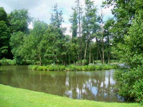 a pond in the middle of a park at cosy mery in Méry-sur-Oise