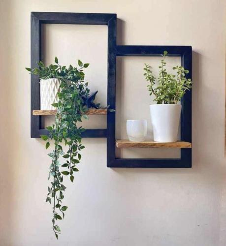 um espelho com duas prateleiras e uma planta na parede em Guestghor em Daca