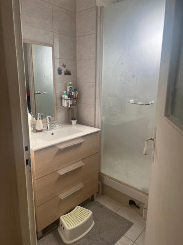 une salle de bain avec une douche, un lavabo et un miroir dans l'établissement Florange proche luxembourg, à Florange