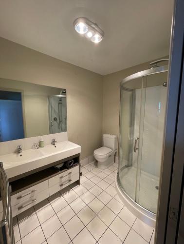 a bathroom with a shower and a sink and a toilet at Secluded Bays Home in Auckland