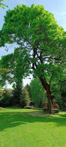 AGROTURYSTYKA "BIKE-OWE RANCZO POD KLONAMI"