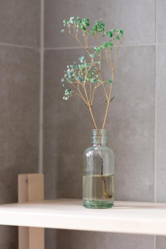 a glass jar with a plant in it on a table at The Ballroom - Huge 2 Bed, Lichfield City Centre in Lichfield