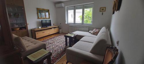 斯科普里PORTA CENTER APARTMENT的客厅里有一张沙发和一台电视