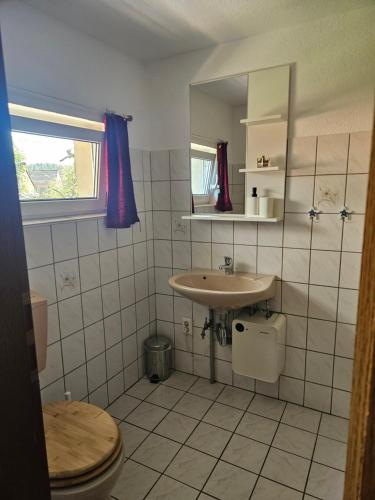 een badkamer met een wastafel en een toilet bij Ferienwohnung zu den Blauen Schafen in Rheinsberg