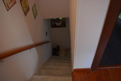 una escalera en una casa con escalera en FD Apartment, en Ospedaletto dʼAlpinolo