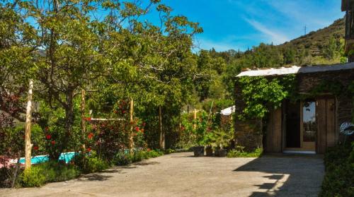 un patio de una casa con árboles y flores en Los Castaños, Vivienda Rural, Capileira, en Capileira
