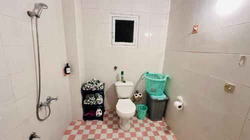 a small bathroom with a toilet and a shower at Grand appartement avec rooftop in Monte ʼArrouit