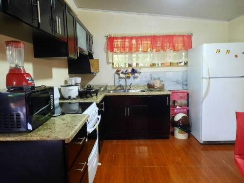 a kitchen with black cabinets and a white refrigerator at Cabaña el Tecal in San Francisco