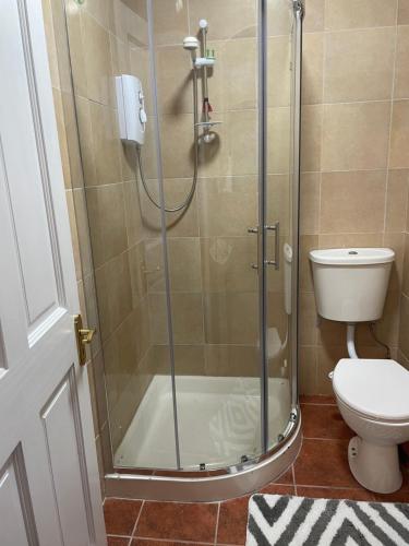 um chuveiro na casa de banho com WC em Cosy Apartment Cahir em Cahir