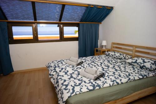1 dormitorio con 1 cama con cortinas azules y ventana en Delfin Bambi Los Gigantes, en Santiago del Teide