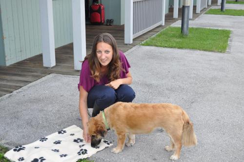 a woman kneeling next to a brown and white dog at Gästedorf Waldheimat in Langenwang
