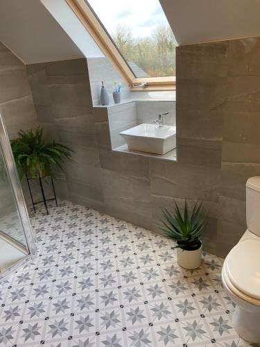 a bathroom with a white toilet and a sink at The Ranch in Leitrim