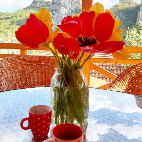 a vase filled with red and yellow flowers on a table at Golemi kamik Pirot Vlasi 4 in Pirot