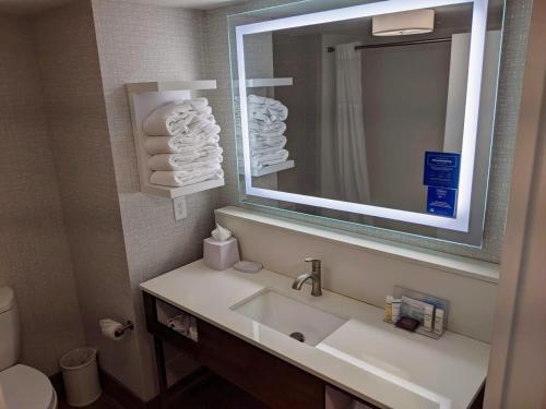 a bathroom with a sink and a mirror and a toilet at Hampton Inn Atlanta-Canton in Canton