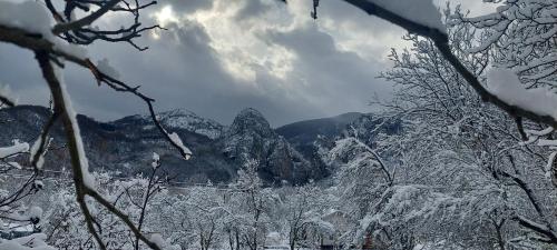 a view of a snowy mountain range with snow covered trees at Golemi kamik Pirot Vlasi 4 in Pirot