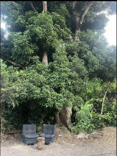 a black couch sitting in front of a tree at JAZMIN HOsTEL in Playa Aguadulce