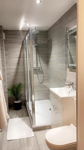 a bathroom with a shower and a toilet and a sink at The Lux Ville, Stunning 6 Bedroom Home in London in Plumstead