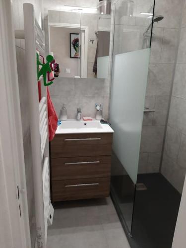 une petite salle de bain avec un lavabo et une douche dans l'établissement T2 paisible, wifi, proche plage et pinède, à Saint-Mandrier-sur-Mer