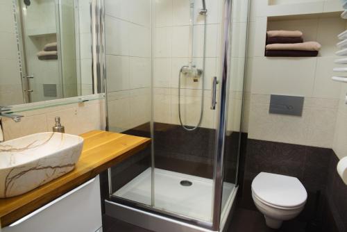 a bathroom with a shower and a toilet and a sink at Apartment Gaja in Karpacz