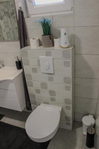 a bathroom with a white toilet and a sink at Villa Bali - Aladinici in Stolac