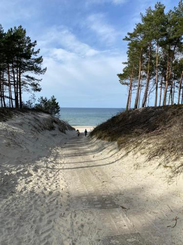 Naturlandschaft in der Nähe der Ferienwohnung